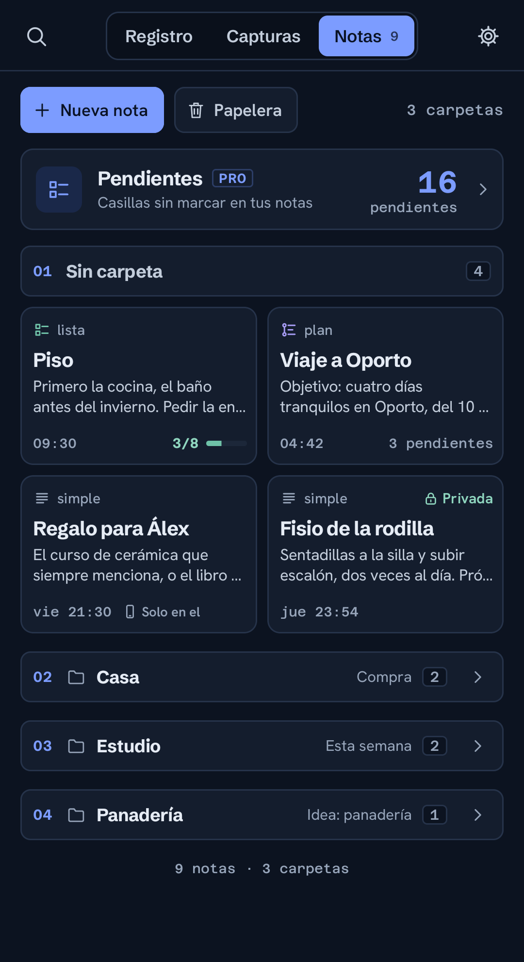 Capturas ordenadas en notas por proyecto