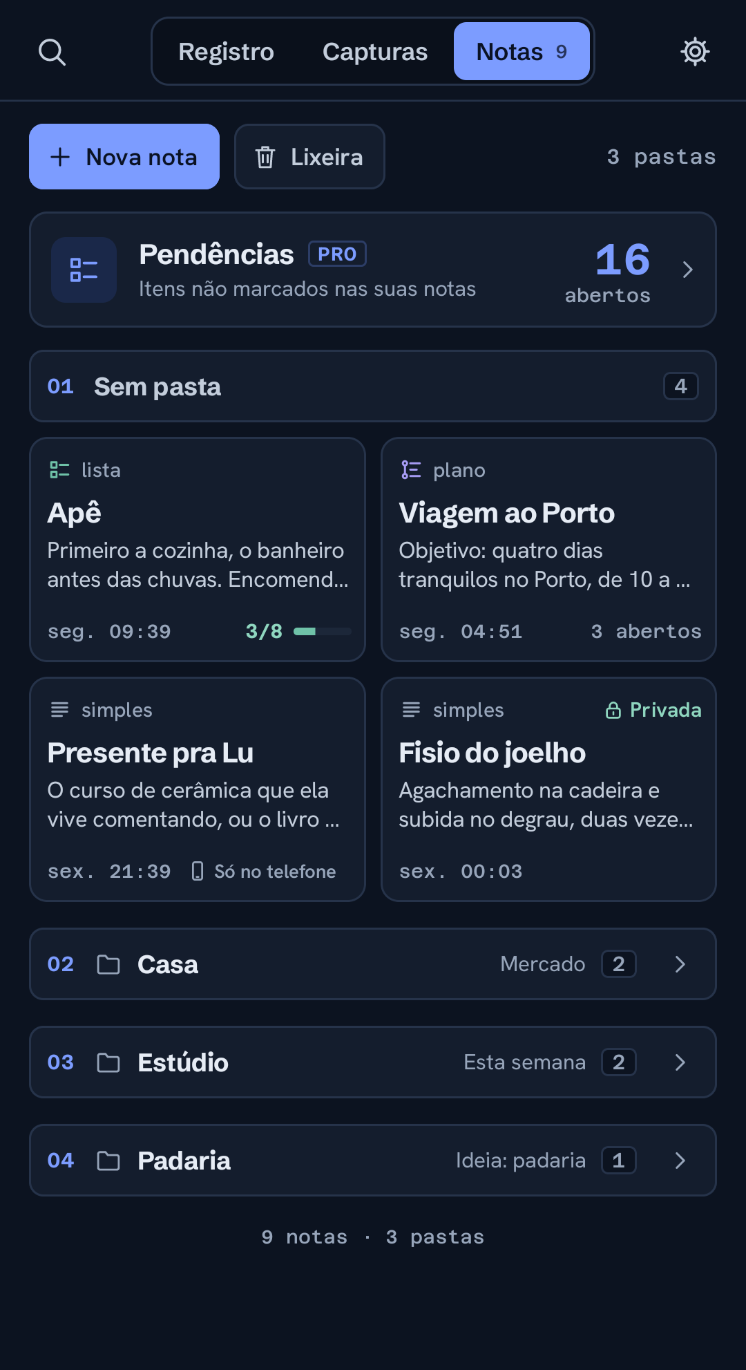 Capturas organizadas em notas por projeto